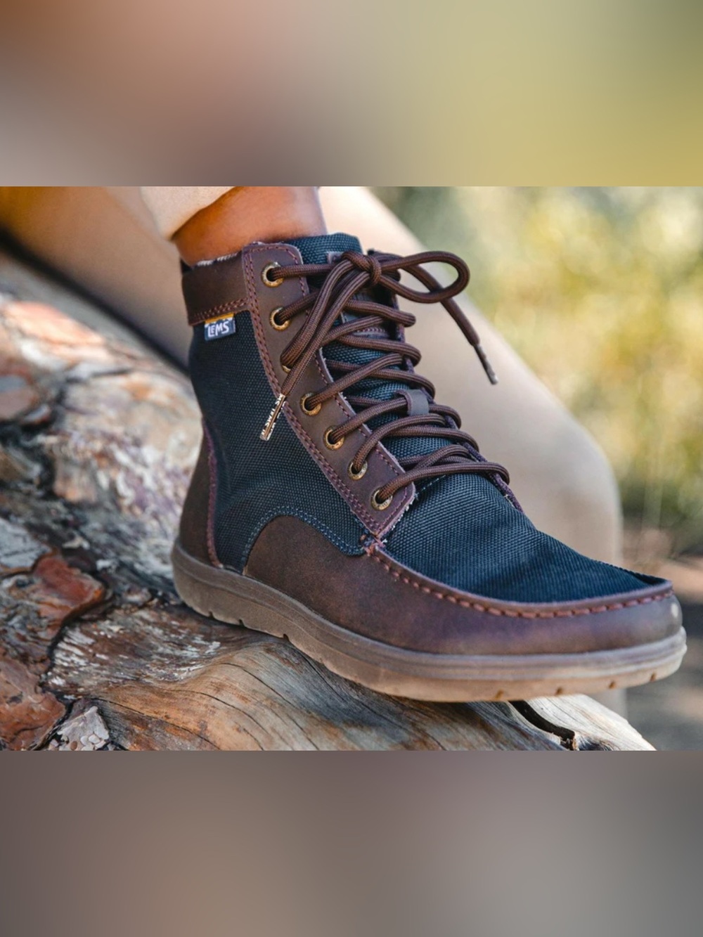 Men's Brown & Blue Lace-Up Explorer Boots
